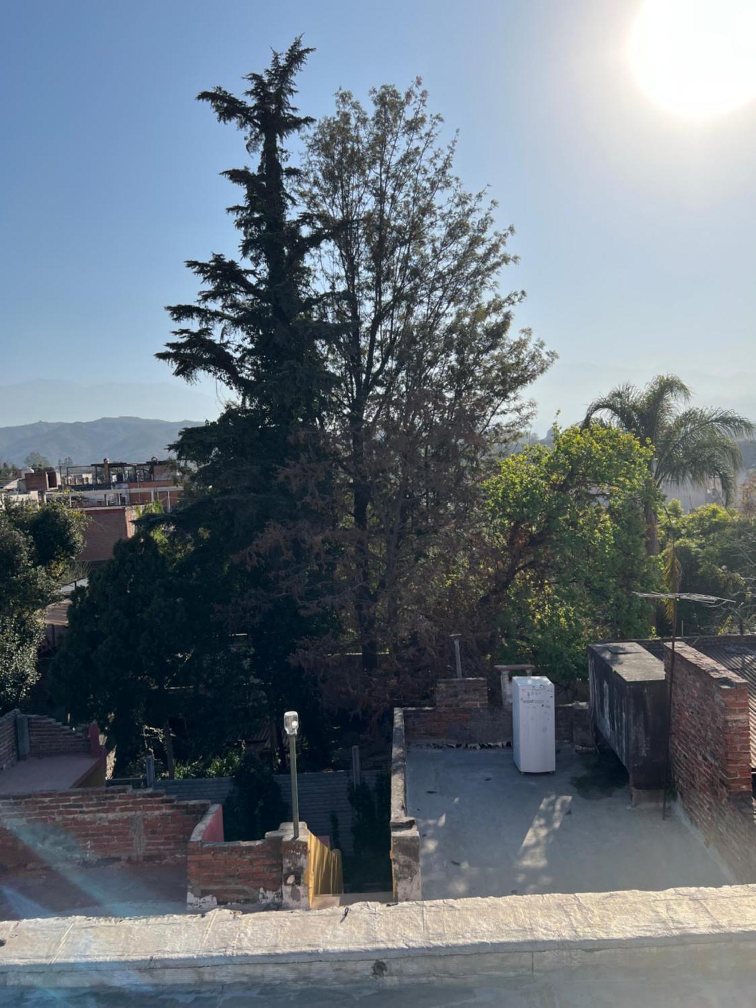 Cuyaya Hostel San Salvador de Jujuy Εξωτερικό φωτογραφία